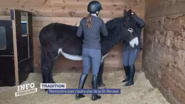 L&#039;âne Balou se prépare pour la St-Nicolas