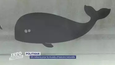 65 millions pour le musée d&#039;histoire naturelle