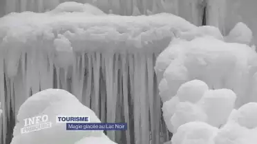 Visite du Palais des glaces