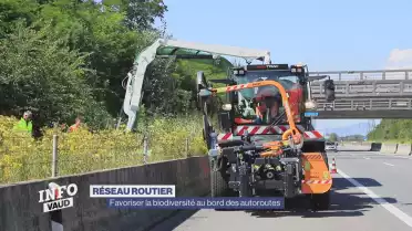 Biodiversité au bord des axes routiers