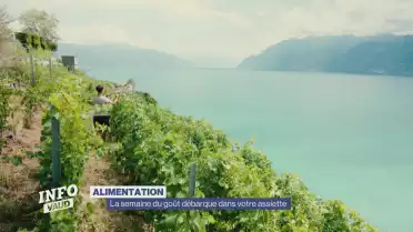 La Semaine du goût débarque dans votre assiette