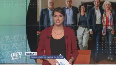 Des avocats en faveur du climat