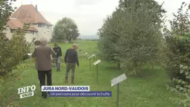 Un parcours pour découvrir la truffe