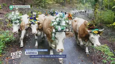 Agenda: les coups de cœur de la rédaction