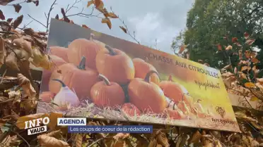 Agenda : Les coups de coeur de la rédaction