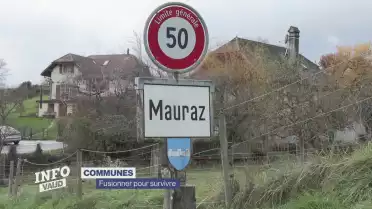 Fusionner pour survivre