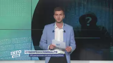 Cyberpédophilie: 96 personnes démasquées