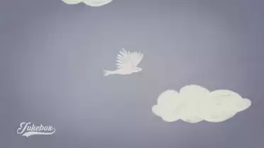 Fäderchleid de Troubas Kater