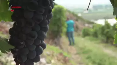 Journal du 11 septembre 2022