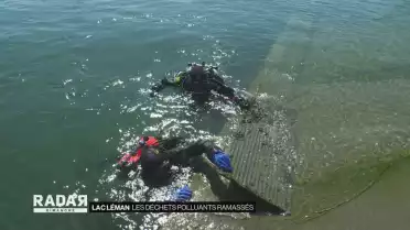 Les déchets polluants ramassés dans le lac Léman