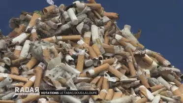 Le tabac sous la loupe