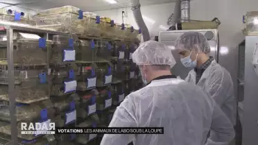 Les animaux de labo sous la loupe