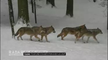 Journal du 11 février 2022