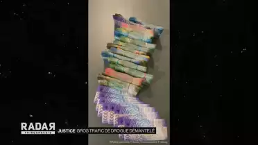 Important trafic de drogues démantelé
