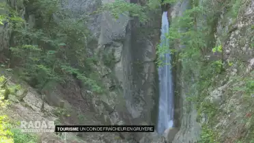 Un coin de fraîcheur