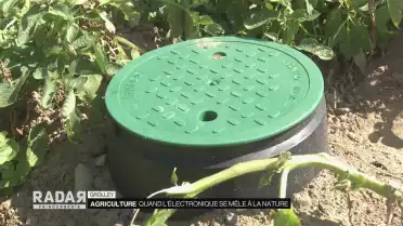 Quand l&#039;électronique se mêle à la nature