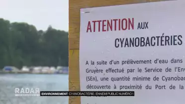 Le retour des cyanobactéries