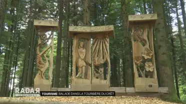 Balade dans la tourbière du Crêt