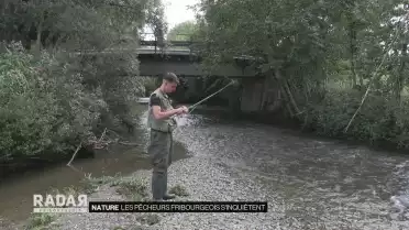 Les pêcheurs fribourgeois s&#039;inquiètent