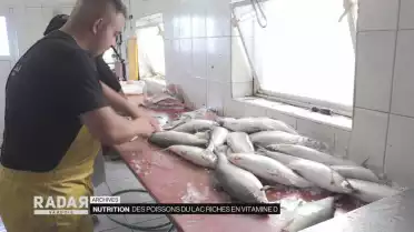 Des poissons du lac riches en vitamine D