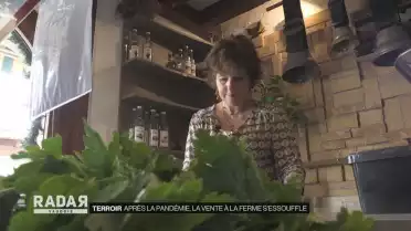 Après la pandémie, la vente à la ferme s&#039;essouffle