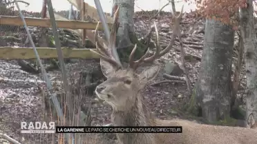Garenne: Le parc se cherche un nouveau directeur