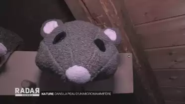 Dans la peau d’un micromammifère