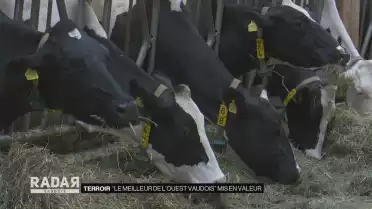 “Le meilleur de l’Ouest vaudois” mis en valeur