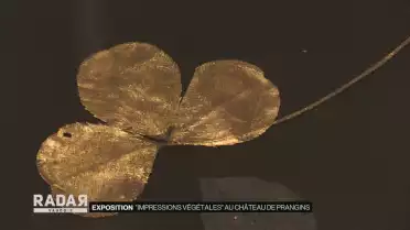 &quot;Impressions végétales&quot; au Château de Prangins