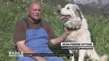 Une brigade d&#039;intervention rapide canine