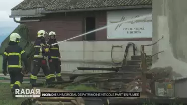 Un morceau de patrimoine viticole parti en fumée à Cottens