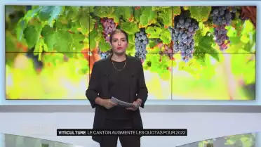 Le canton augmente les quotas viticoles pour 2022