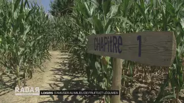S&#039;amuser au milieu de fruits et légumes