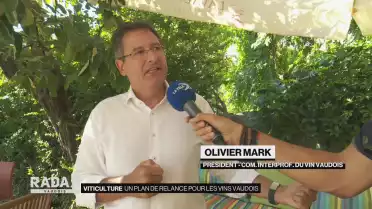 Un plan de relance cantonal pour les vignes