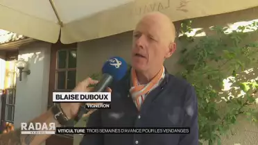 Les vendanges arrivent plus vite