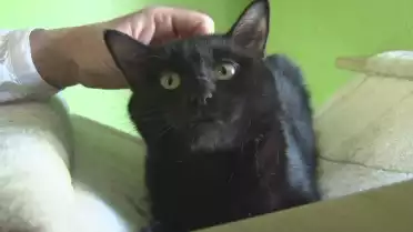 Présenté par Lolita Morena