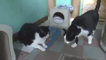 Présenté par Lolita Morena