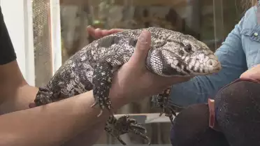 Présenté par Lolita Morena