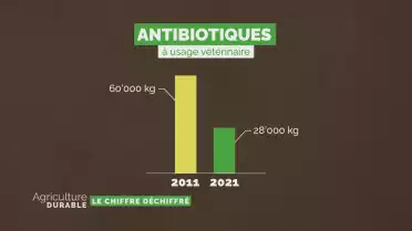 Le chiffre déchiffré - Les antibiotiques à usage vétérinaire