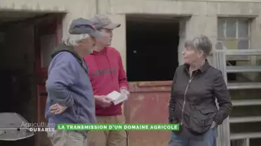 Dossier du mois - La transmission d&#039;un domaine agricole