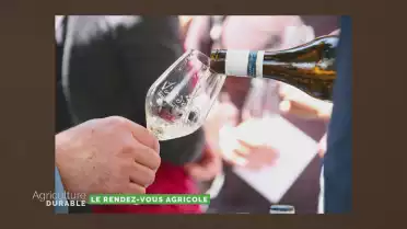 Les Caves ouvertes vaudoises