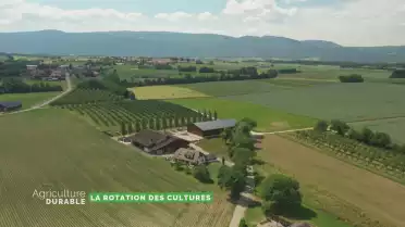 Dossier du mois - La rotation des cultures