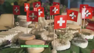 Le brunch du 1er août