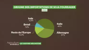 Le chiffre déchiffré - L&#039;alimentation des poulets suisses