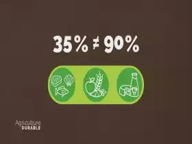 Le chiffre déchiffré - Les insectes pollinisateurs