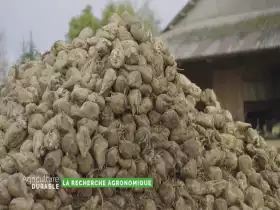 Dossier du mois - La recherche agronomique