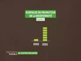 Le chiffre déchiffré - Les surfaces pour la biodiversité