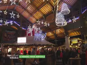 Les marchés de Noël
