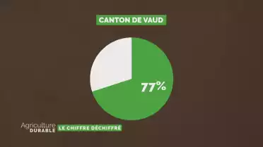 Le chiffre déchiffré - La production de betteraves sucrières