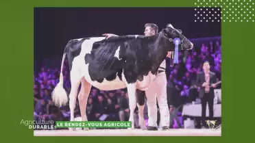 SwissExpo